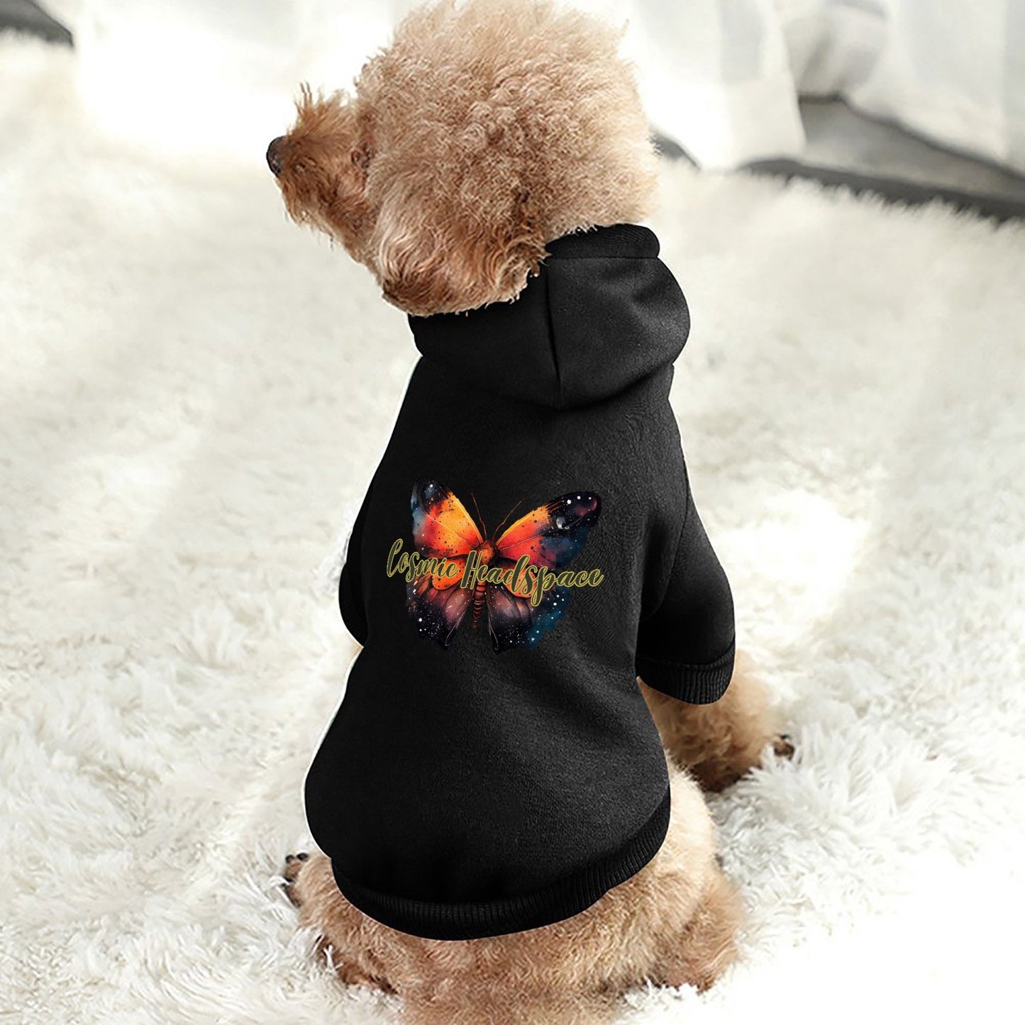 818. Pet Hooded Suit